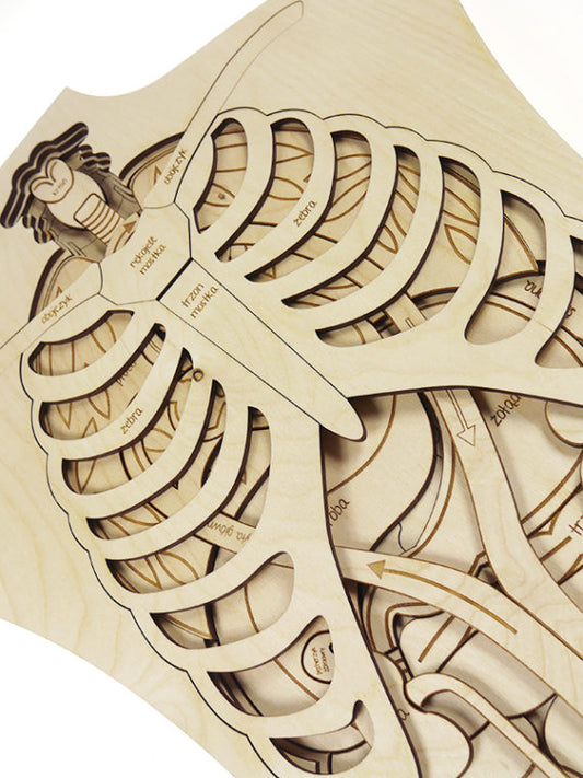 Puzzle géant Anatomie de notre corps Stuka Puka