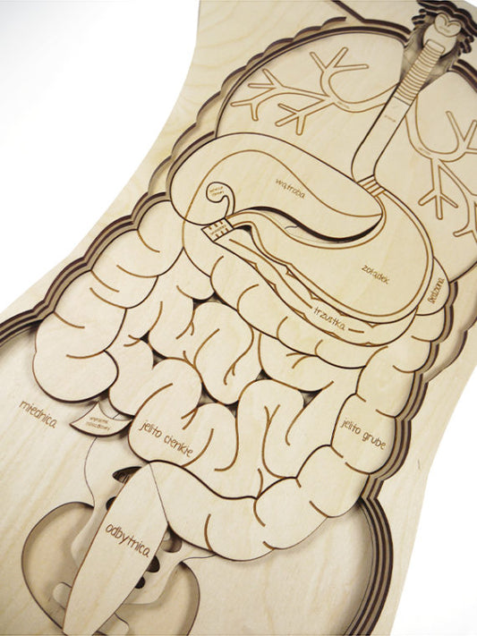 Puzzle géant Anatomie de notre corps Stuka Puka