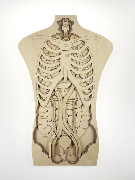 Puzzle géant Anatomie de notre corps Stuka Puka