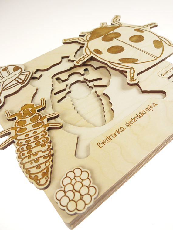 Puzzle multicouches le Cycle de vie de la coccinelle Stuka Puka