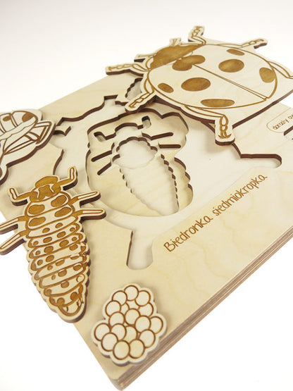 Puzzle multicouches le Cycle de vie de la coccinelle Stuka Puka