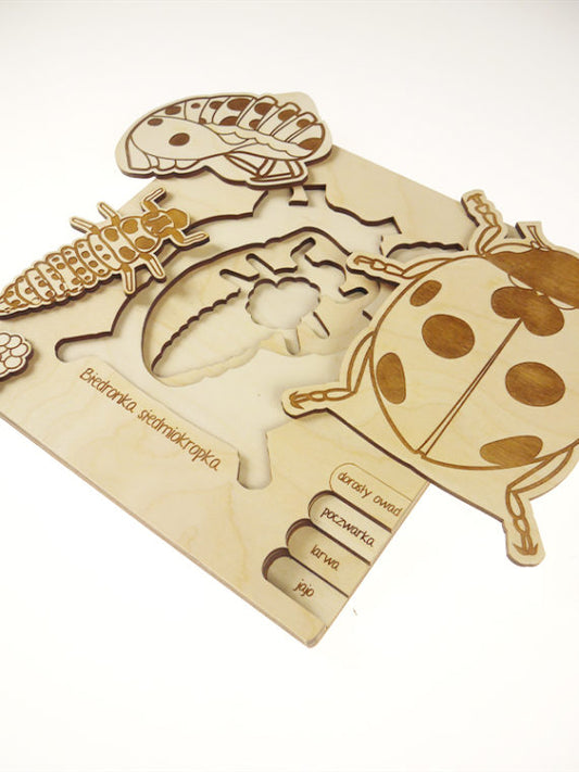 Puzzle multicouches le Cycle de vie de la coccinelle Stuka Puka