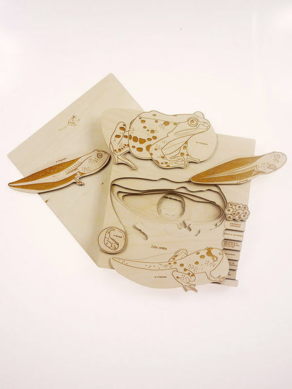 Puzzle multicouches le Cycle de vie de la grenouille Stuka Puka