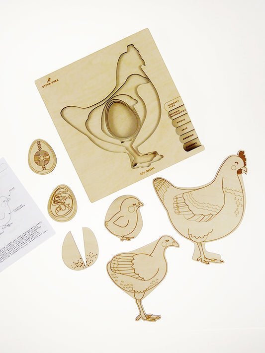 Puzzle multicouches le Cycle de vie de la poule Stuka Puka