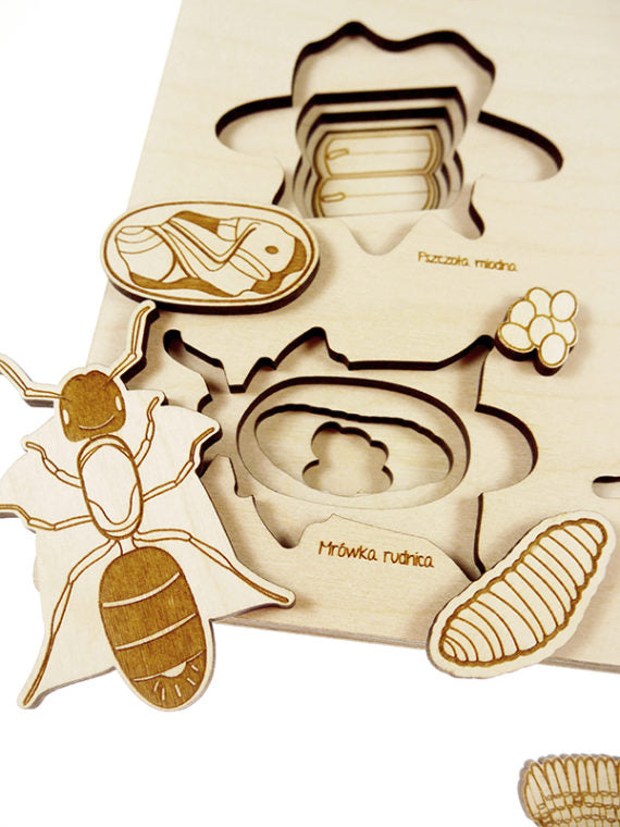 Puzzle multicouches le Cycle de vie des insectes Stuka Puka