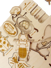 Puzzle multicouches le Cycle de vie des insectes Stuka Puka