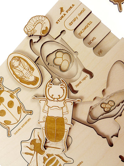 Puzzle multicouches le Cycle de vie des insectes Stuka Puka