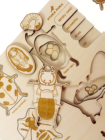 Puzzle multicouches le Cycle de vie des insectes Stuka Puka