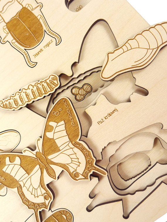 Puzzle multicouches le Cycle de vie des insectes Stuka Puka