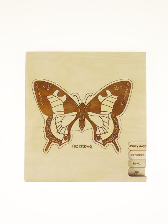 Puzzle multicouches le Cycle de vie du papillon Stuka Puka