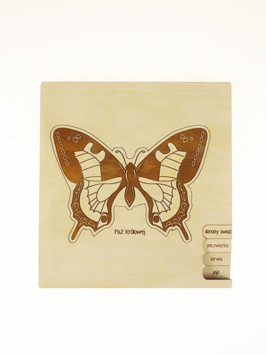 Puzzle multicouches le Cycle de vie du papillon Stuka Puka