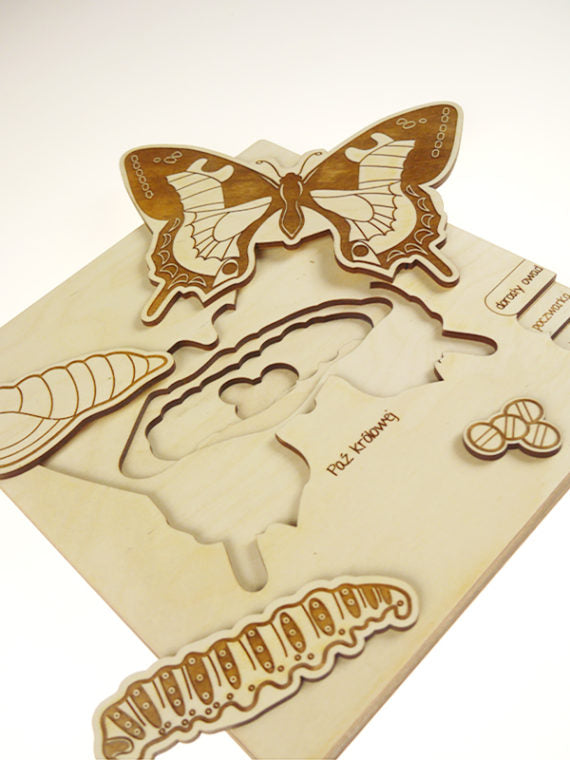 Puzzle multicouches le Cycle de vie du papillon Stuka Puka
