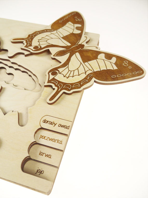 Puzzle multicouches le Cycle de vie du papillon Stuka Puka