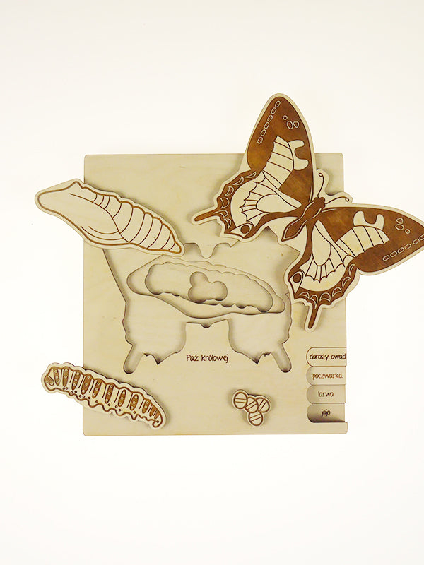Puzzle multicouches le Cycle de vie du papillon Stuka Puka