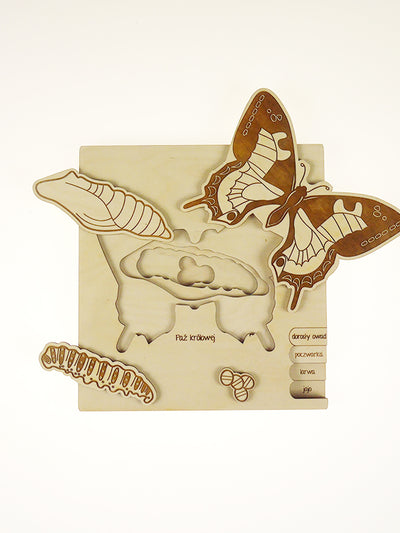 Puzzle multicouches le Cycle de vie du papillon Stuka Puka