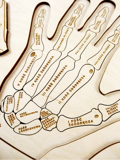Puzzle Stuka Puka L'anatomie de la main