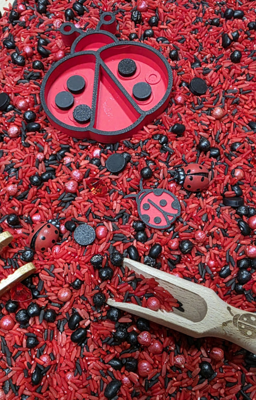 Pour and Play Mix Coccinelles Lot complet pour le jeu sensoriel - SensoryFun