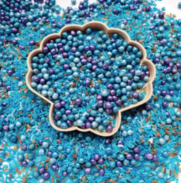 SensoryFun Moule jeu sensoriel - Coquillage