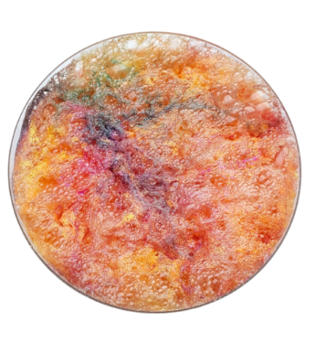SensoryFizz Mélange effervescent pour jeu sensoriel 200gr - Divers couleurs