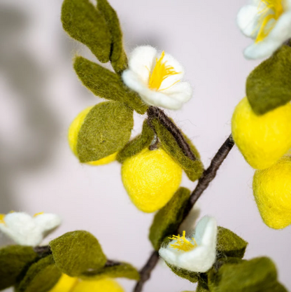 Branche de Fleurs de Citronnier en feutrine de laine