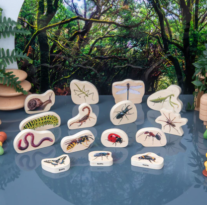 Tickit Insectes en bois - Lot de 15