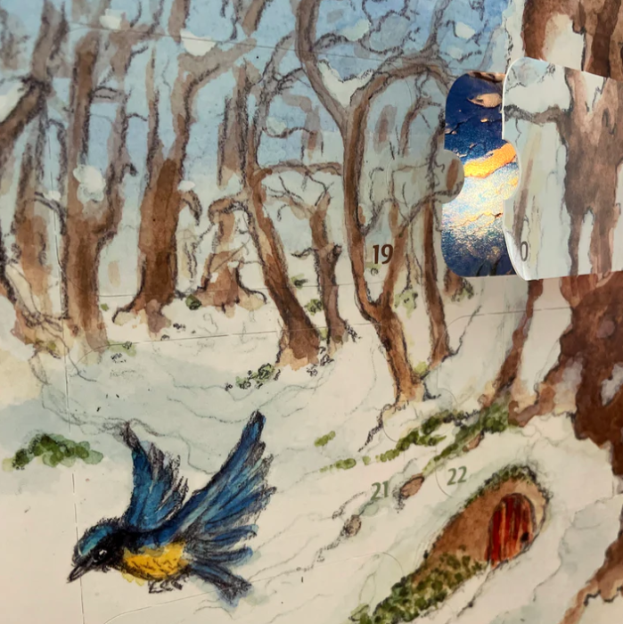 Toverlux Calendrier de l'Avent Les 4 Royaumes de la Nature