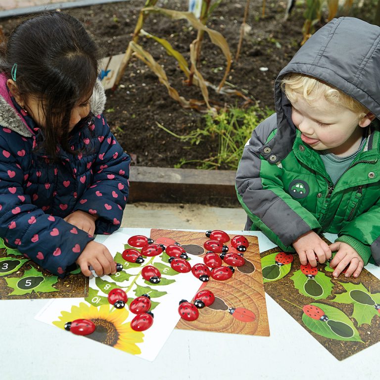 Cartes éducatives Apprendre à compter pour les pierres Coccinelles Yellow Door