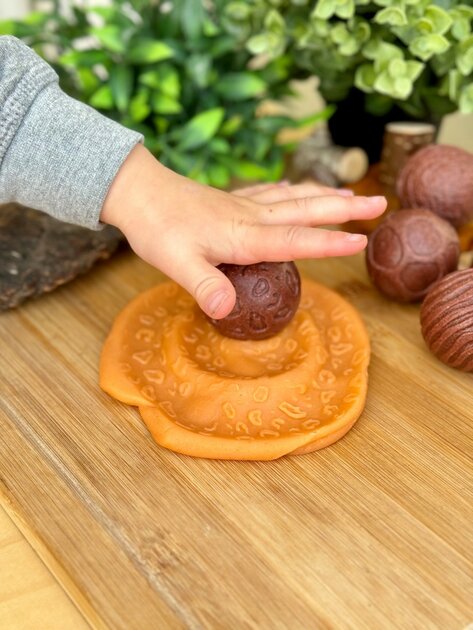 Yellow Door Boules sensorielles tampons - Les animaux sauvages