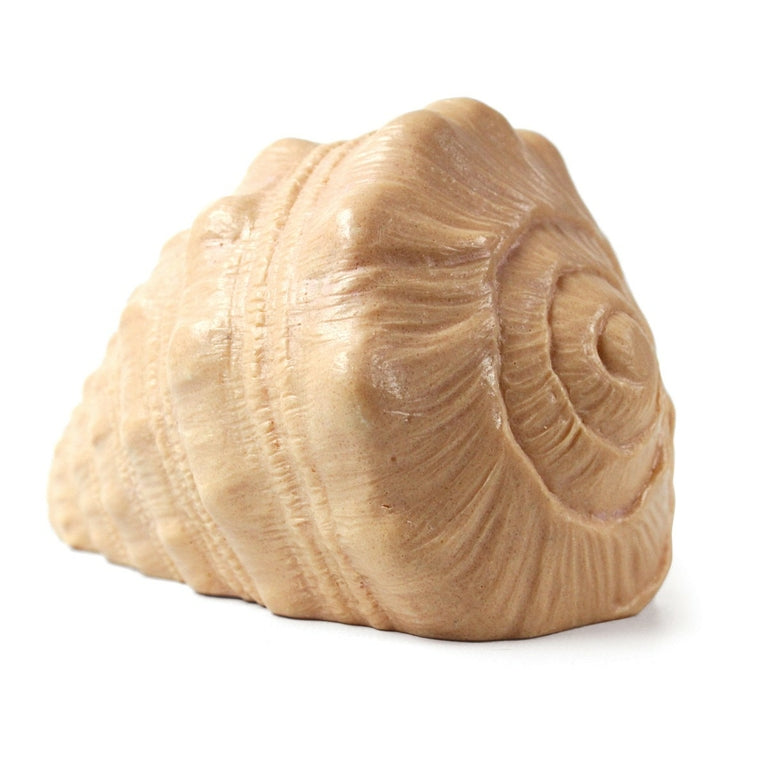 Yellow Door Coquillage pour jeu sensoriel