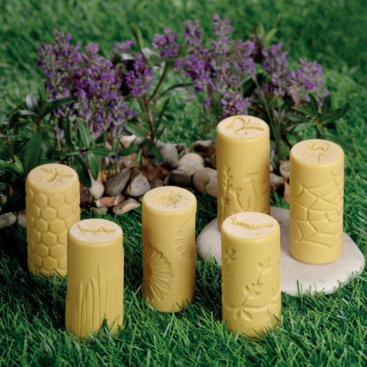 Yellow Door Rouleaux Tampons Insectes de jardin